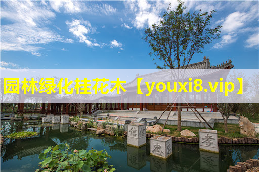 园林绿化桂花木