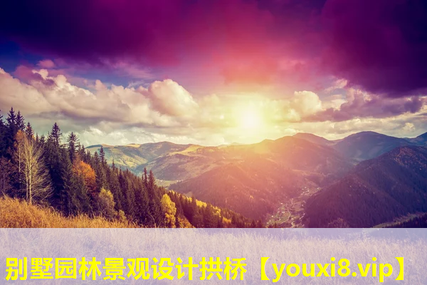 别墅园林景观设计拱桥
