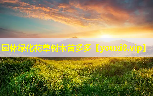 园林绿化花草树木苗多多