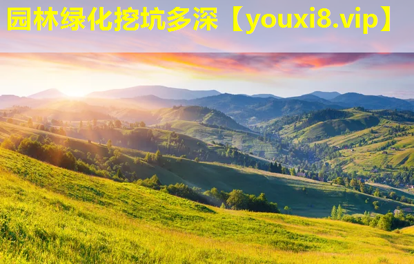 园林绿化挖坑多深