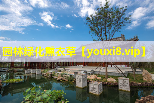 园林绿化熏衣草